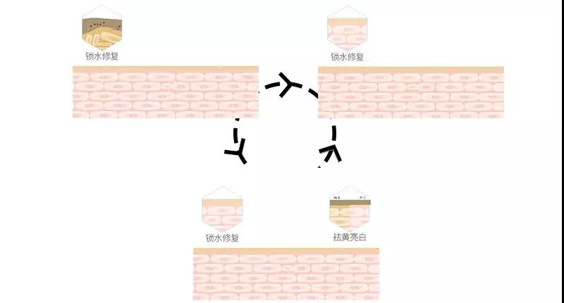 尊龙凯时人生就是·搏(中国)官网