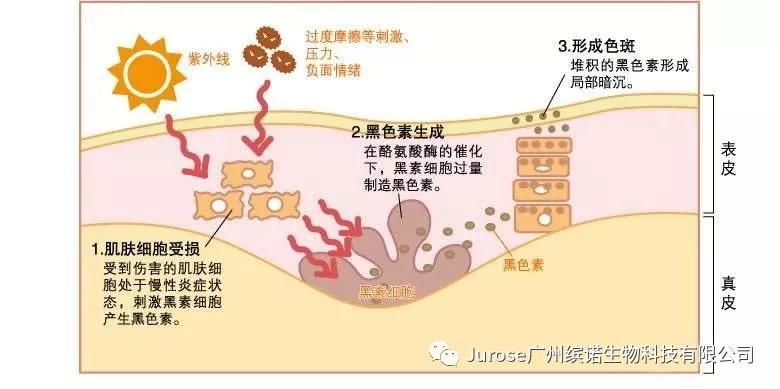 尊龙凯时人生就是·搏(中国)官网