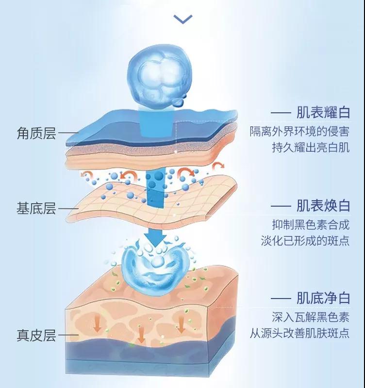 尊龙凯时人生就是·搏(中国)官网