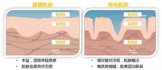 尊龙凯时人生就是·搏(中国)官网